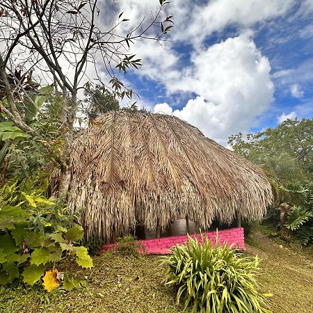 Sierra Alta Finca Boutique Villa Minca Kültér fotó