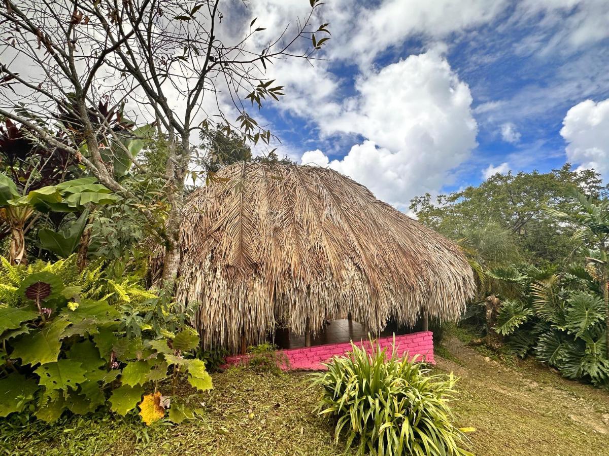 Sierra Alta Finca Boutique Villa Minca Kültér fotó