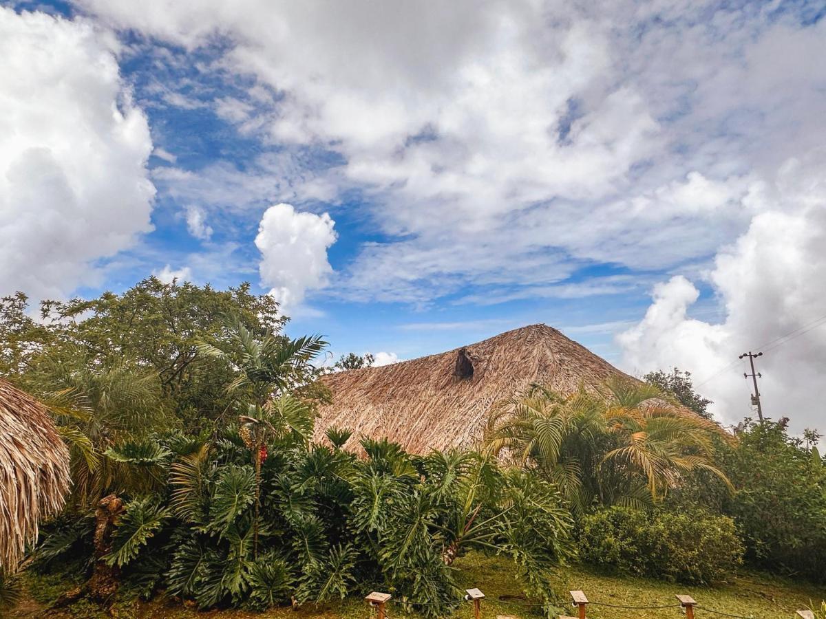 Sierra Alta Finca Boutique Villa Minca Kültér fotó
